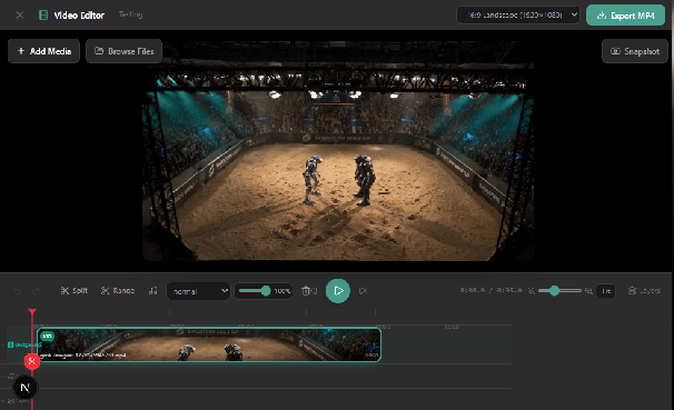 Video Editor